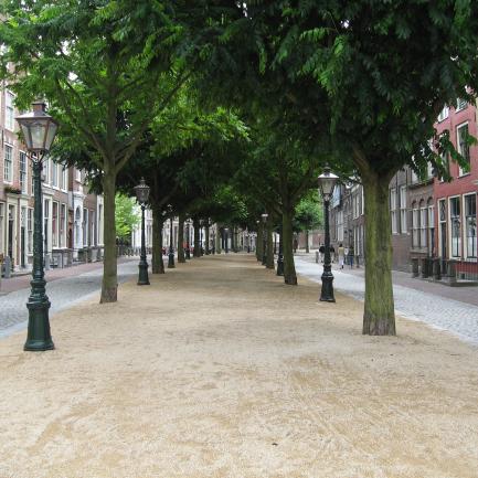 Leidse Lantaarn historische binnenstad Leiden
