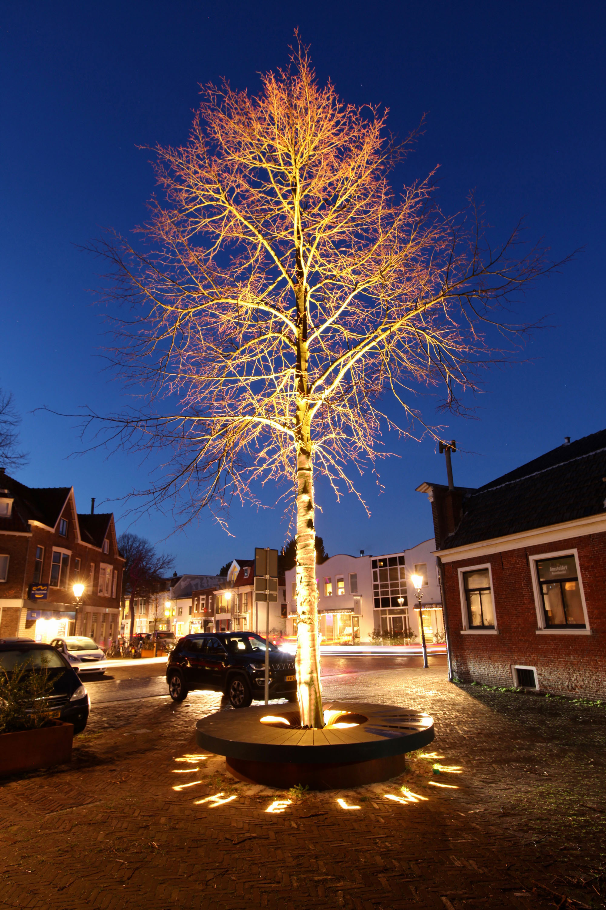 tree with bench and ambience light Bureau Stoep